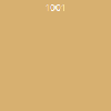 1001 1001